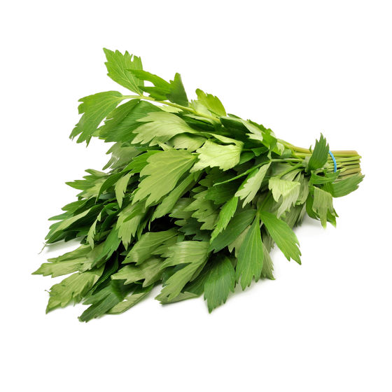 Lovage - Product picture
