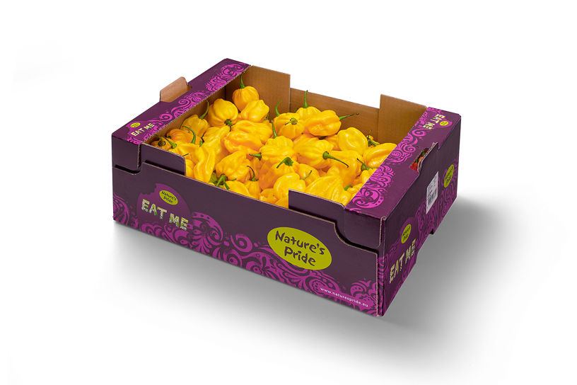 Habanero Pepper Yellow - Packed in a box (colli)
